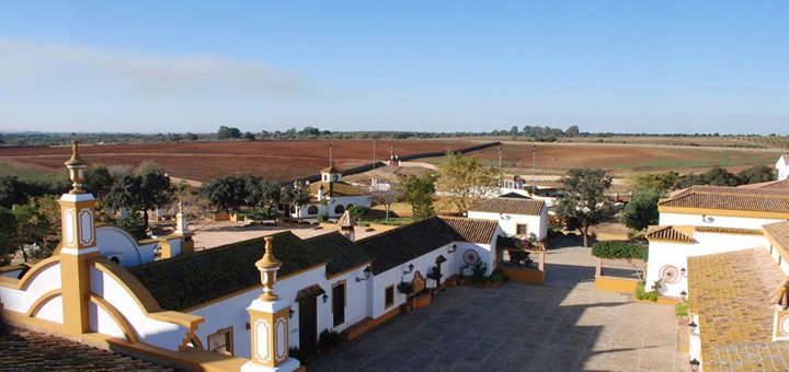 ¿Qué se le ofrece? 